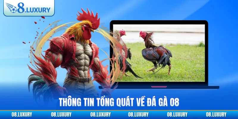 Thông tin tổng quát về đá gà O8